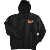Biggby Coffee AAA Super Heavyweight Fleece Hoodie